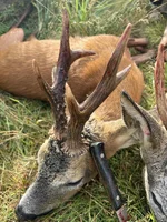 26dc366e-2dd2-4c2b-b260-a1c93e9da075 (1).webp