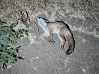 20250811_221952[1].webp