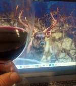 wytonpjs wine stag.webp