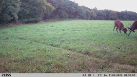 2025-09-21_06-50-07.webp