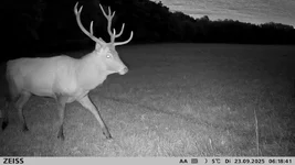 2025-09-23_06-18-41.webp