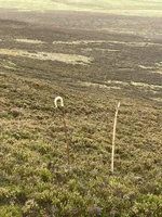 IMG_6042.jpeg IMG_6042.jpeg