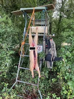IMG_5498.jpeg