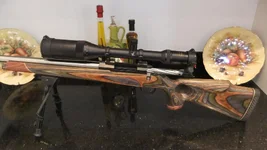 new rifle 042.webp