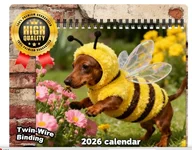 snag dog Screenshot 2025-11-26 211252.webp