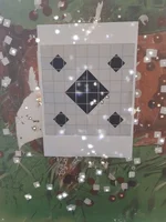 Enfield Enforcer 1. Schussbild Federal .308 Win. 175 grs Gold Medal Match HPBT.webp