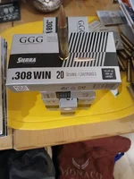 .308 Win. GGG 190 grs Sierra HPBT Match.MunD.webp