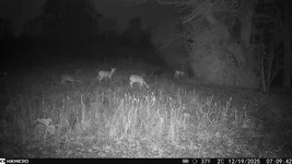 20251219070949_(1)[1].webp