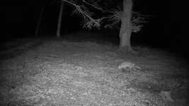 20251225065550.webp