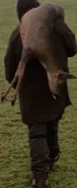 1767050012870.png 1767050012870.png