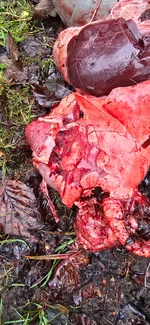 20260126_121406.webp