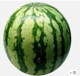 Screenshot_20260217-170338_Chrome.webp