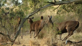 run 5 Screenshot 2026-02-26 092541.webp