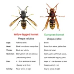 Screenshot_20260227_180844_Samsung Internet.webp