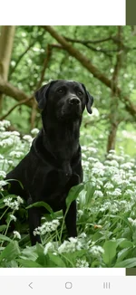 Screenshot_20260108_064755_Samsung Internet.webp