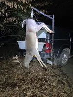 WhatsApp Image 2023-12-27 at 10.06.54_d363bb83.webp