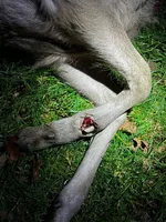 IMG-20260305-WA0002.webp