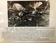 moose man kill.webp