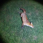 20260318_211044.webp