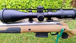 Remington 700 .204 Cal Stainless 4.webp