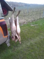 20260322_181130[1].webp