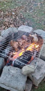 1000028046.webp