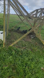 IMG-20260328-WA0001.webp