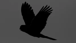 ytb grey Screenshot 2026-03-30 175057.webp