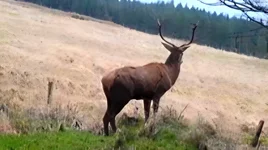 20260315173525 (1).webp