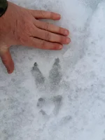 IMG_1976.webp