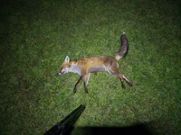 20260402_225440.webp