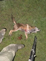 20260409_230649.webp