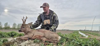 April 6pt Buck.webp