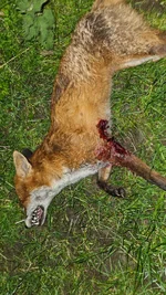 20260416_020412.webp