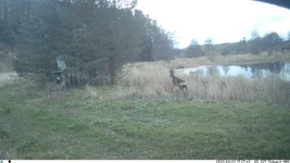 IM_00052.webp