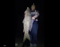 carp pig.webp