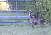 _DSC4774.webp