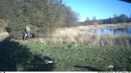 IM_00042.webp