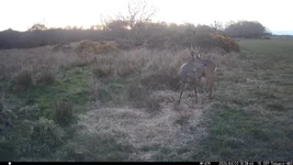 IM_00142.webp