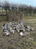 acafddef-f6f4-4ca5-bdb2-2d1ce106604c.webp