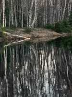 IMG_1140.webp