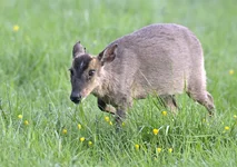 _DSC5299_01.webp
