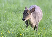 _DSC5296_01.webp