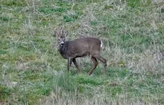 DSC03081.webp
