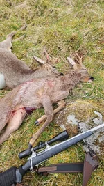 IMG-20260501-WA0018.webp