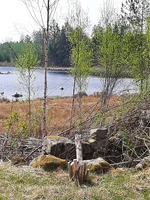 20260503_110554.webp