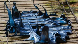 how-to-get-melted-plastic-off-an-oven.webp