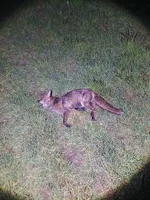 20260503_210502.webp