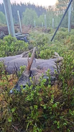 IMG-20260502-WA0000.webp