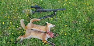 20250620_201316.webp